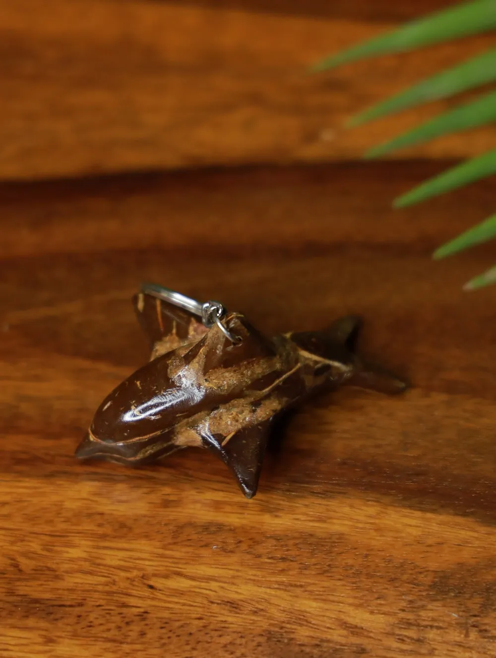 Coconut Craft Keychain - Fish